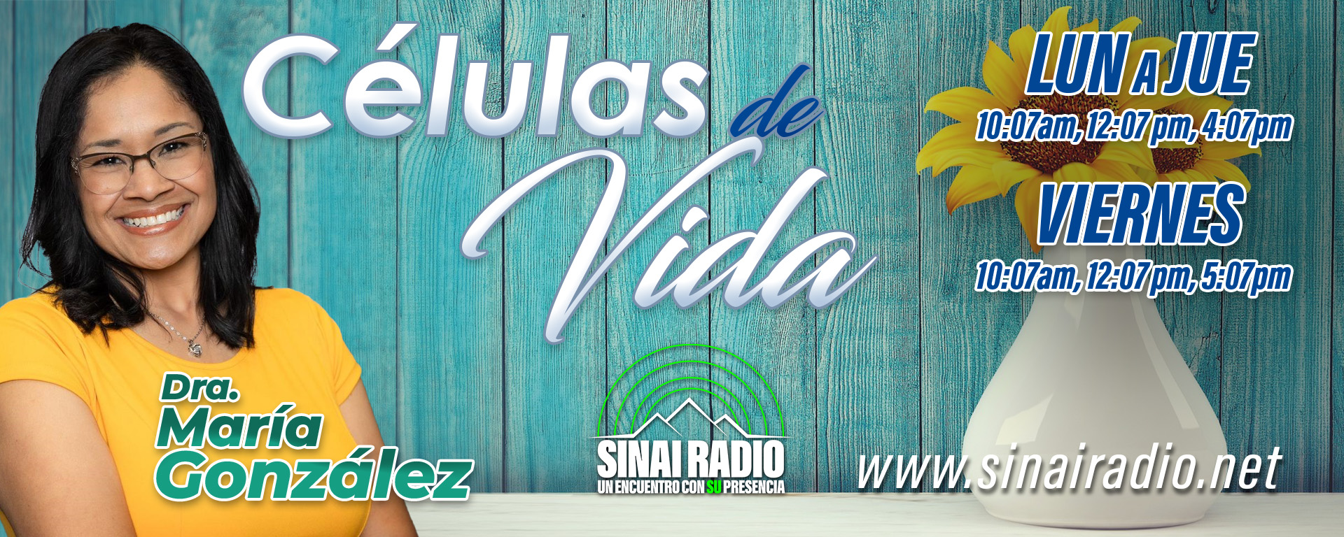 Imagen 5